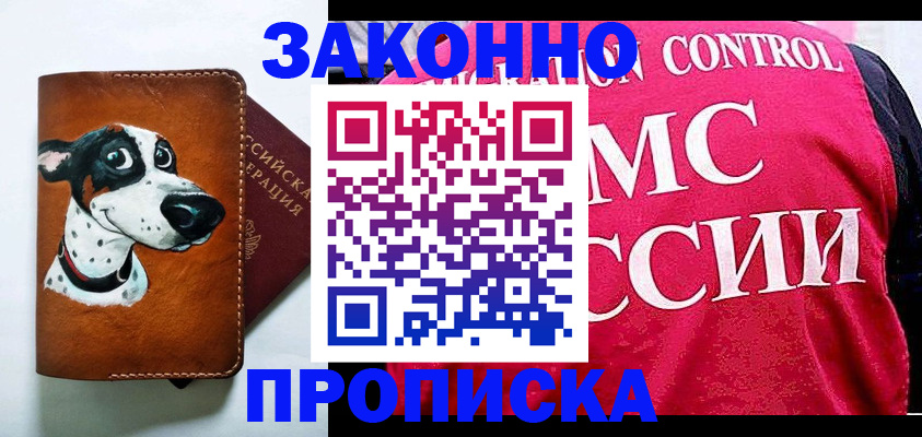 прописка 2025 в Выборге